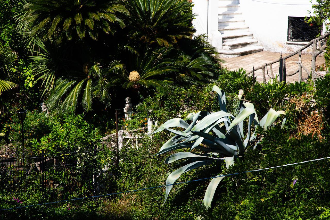 Apartmán San Rocco Flexyrent - Parking - Wifi - Aircon Rapallo Exteriér fotografie