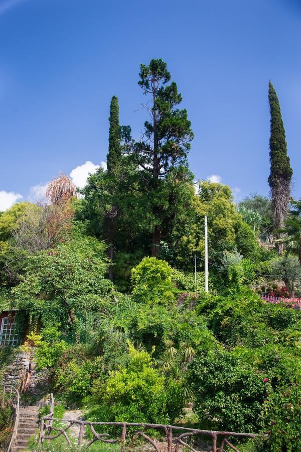 Apartmán San Rocco Flexyrent - Parking - Wifi - Aircon Rapallo Exteriér fotografie